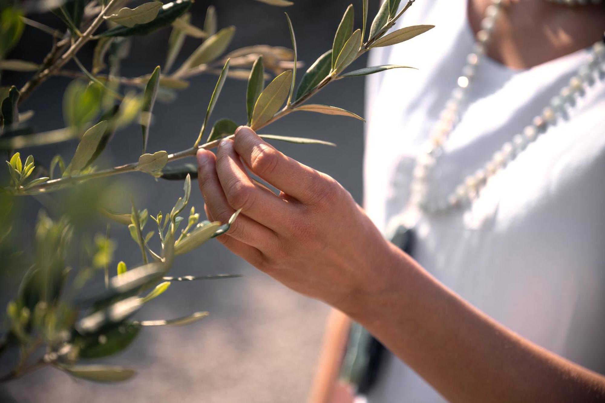 Štanjel Biohotel Stdaniel מראה חיצוני תמונה